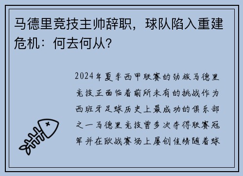 马德里竞技主帅辞职，球队陷入重建危机：何去何从？